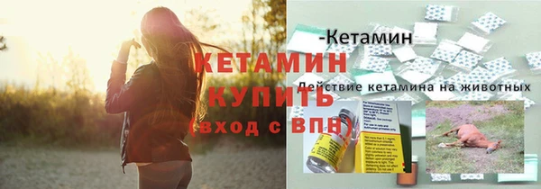 spice Покачи