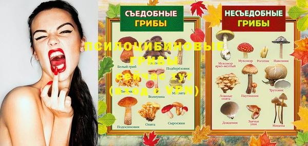 каннабис Абинск