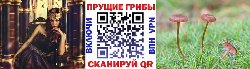 Галлюциногенные грибы MAGIC MUSHROOMS Истра